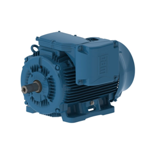 Motor W Hp S M C Term Hz Ie